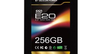 Silicon Power E20 SSD