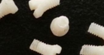 Orthopedic screws made out of silkworm proteins