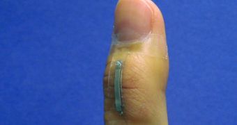Silver nanowire wearable sensor