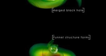 Simulation Reveals Black Hole Merger