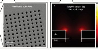 EPFL scientists create an on-chip sensing platform with plasmonic microarrays and lens-free computational imaging