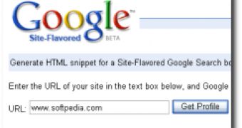 Site-Flavored Google Search