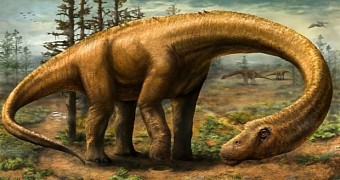 Dreadnoughtus schrani is one of the largest land creatures ever