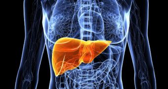 New method to turn skin cells into liver ones brings hope to liver failure patients