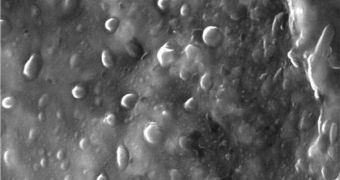 Nanoscale vesicles can be seen here adorning the surface of this electroplated layer