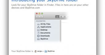 SkyDrive installation screenshot