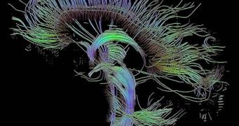 The human brain uses many pathways and nerve centers to convert memories, but exactly how the process works is still unknown