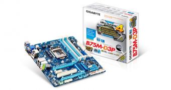 Gigabyte GA-B75M-D3P drivers and utilities are available