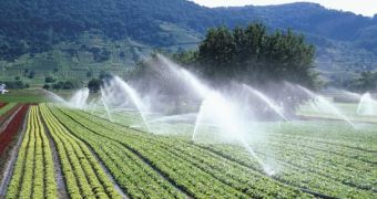 Small-scale irrigation systems found to boost agriculture in some parts of the world