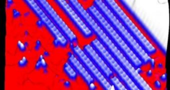 This image shows several nanoscale superconducting molecular wires on a silver substrate