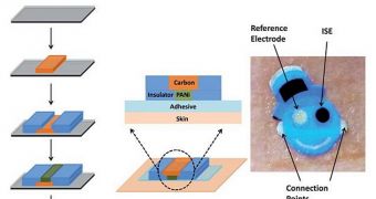 The process through which sensors are translated on commercially-available tattoo paper