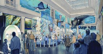 Smithsonian's Sant Ocean Hall Opens Doors