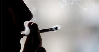 Smoking Decomposes the Brain, Scientists Reveal