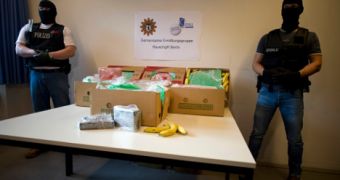 Smugglers Mistakenly Send Cocaine-Filled Banana Crates to Supermarket