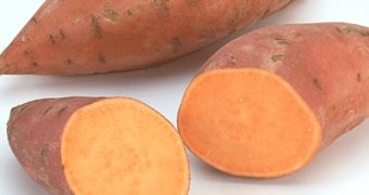 Sweet-potato snacks are perfect for a smooth, clear and youthful skin, experts say