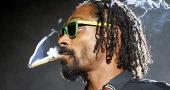 Snoop Dogg would gladly accept the American Idol judge position if producers asked him