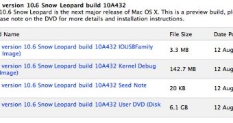 Snow Leopard GM 10A432, released to developers on Wednesday evening