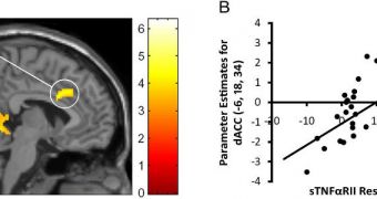 Neural activity in the dorsal anterior cingulate cortex (dACC) during social exclusion (vs. inclusion) that correlated positively with inflammatory responses to the Trier Social Stress Test
