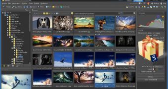 Get a free license for an amazing photo manager and editor