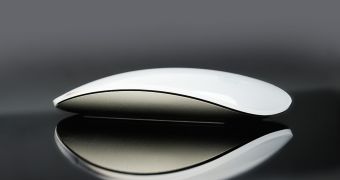 Apple's new Magic Mouse (Multi-Touch-capable)