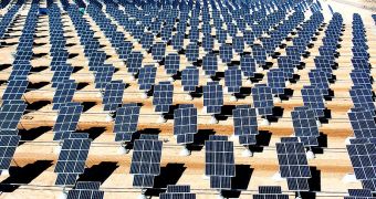 Solar panels displayed in giant photovoltaic array