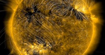 Magnetic field lines on the Sun, on August 20, 2010