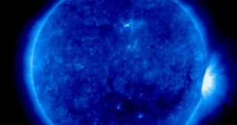 Ultraviolet image of the Sun taken by SOHO today