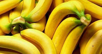 Folks in the UK can now enjoy more eco-friendly bananas