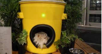 Solar-Powered Houses for Eco-Conscious Pets