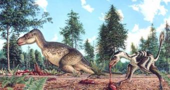 Dinosaurs may have lingered on Earth for another 500,000 years after the K-T extinction