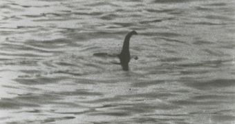 Nessie has supposedly been spotted on a sonar reading