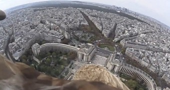 Eagle flying over Paris
