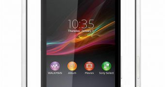 Sony Xperia N concept