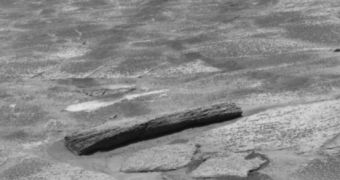 Opportunity's Martian "wood"