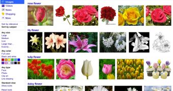Sort by subject in Google Image Search