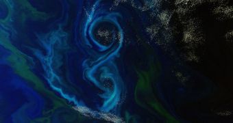 South Atlantic Reveals Massive Phytoplankton Bloom