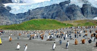 Snapshot showing penguin colonies on South Georgia