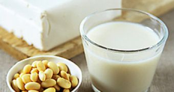 Soy beans linked to fertility problems