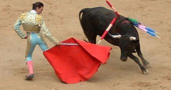 Spain's State TV Is to Once Again Air Bullfighting