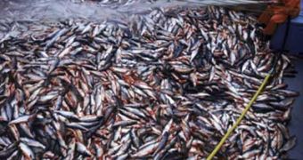 Spanish company made to pay major fine for illegal fishing activities