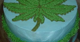 11 students in Spain hospitalized after eating pot cake at a birthday party