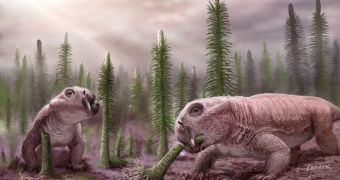 Life needed about 8 million years to rebound fully after the end-Permian extinction event some 251.4 million years ago