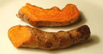 Turmeric root produces a chemical that can fight head and neck cancers
