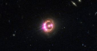 The quasar RX J1131, as seen by XMM-Newton and CXO