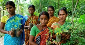 Village in India plants 111 trees each time a girl is born