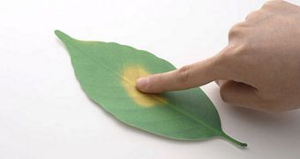 Cool paper leaves work as indoor thermometers