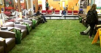 Indoor lawn helps students focus better on their studies