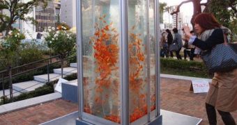 Osaka has public fish tansk made from old phone booths