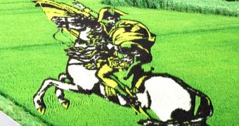 Rice crops in Japan form the image of Napoleon