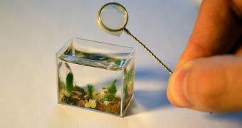 The world's smallest aquarium holds 10 ml of water